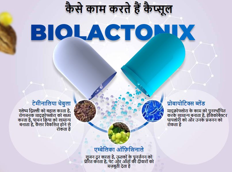 कैसे काम करते हैं कैप्सूल Biolactonix