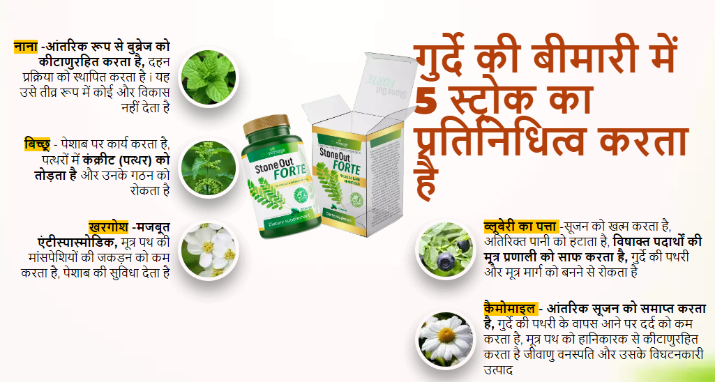 Stone Out Forte Capsules uses in hindi